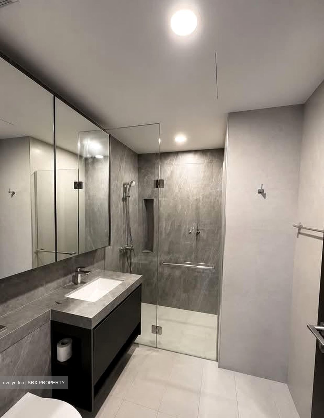 Parc Clematis (D5), Apartment #558133211